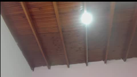 Snapshot of milarose4 chatting on 24, 12, 2024 Mila Rose online show from 24, 12, 2024