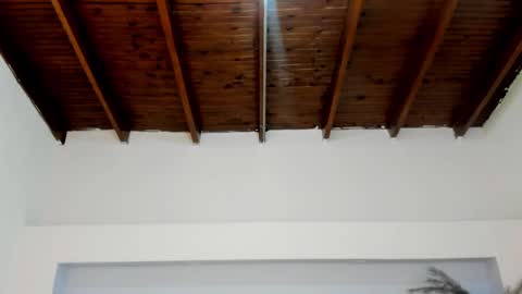 Snapshot of milarose4 chatting on 6, 1, 2025 Mila Rose online show from 6, 1, 2025