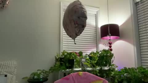 Snapshot of milf_goddess chatting on 13, 7, 2026 MIlf Goddess online show from 13, 7, 2026