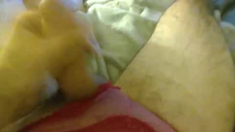 milkncookies8 online show from 3, 10, 2025