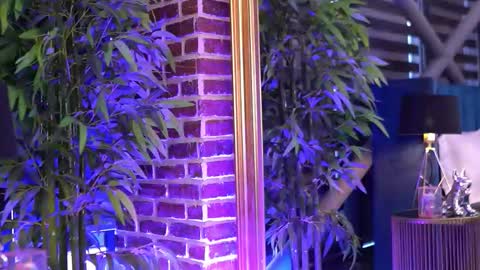 Milla online show from 2, 11, 2025