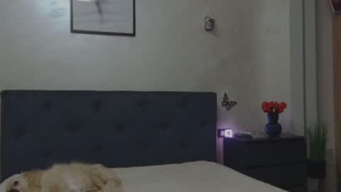 Snapshot of miriam04 chatting on 4, 12, 2025 miriam04 online show from 4, 12, 2025