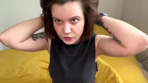 Sai online show from 22, 2, 2026