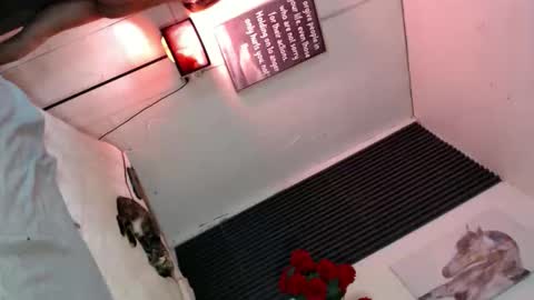 Snapshot of miss_bella69 chatting on 5, 11, 2025 miss_bella69 online show from 5, 11, 2025