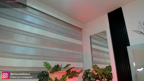 Catalina online show from 6, 4, 2026