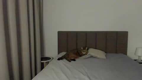 Emily online show from 9, 2, 2025