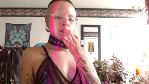 Anarkitten  online show from 9, 4, 2026