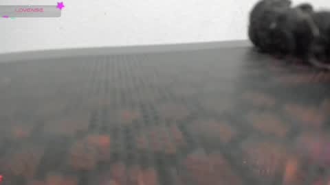 Vane online show from 1, 4, 2026