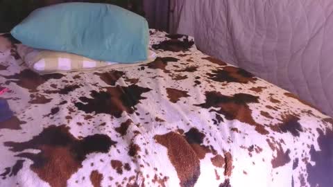 Anastacia online show from 12, 11, 2025