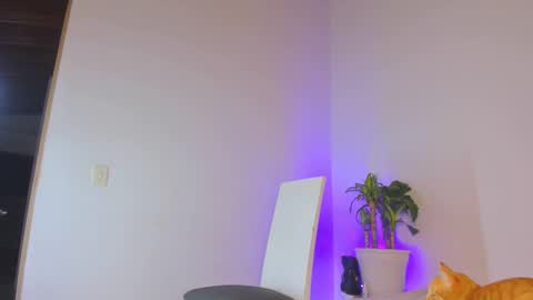 misspaulag online show from 14, 2, 2025