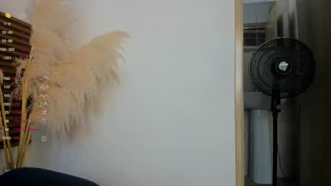 missvalery1 online show from 14, 1, 2025