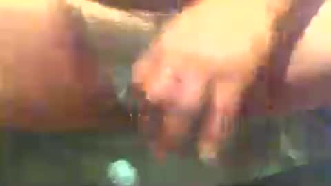 misterbator99 online show from 29, 7, 2026