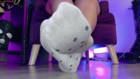 Jhadee online show from 16, 2, 2026