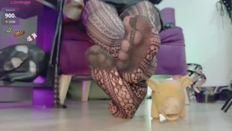 Jhadee online show from 23, 2, 2026