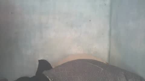 Snapshot of mitsh838354425 chatting on 11, 7, 2026 mitsh838354425 online show from 11, 7, 2026