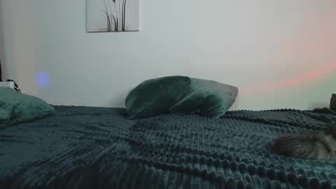 Yuka online show from 12, 2, 2025