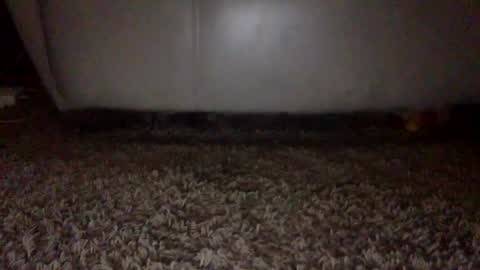 SexyRed online show from 16, 9, 2025