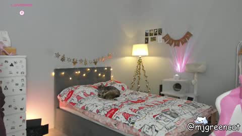 Snapshot of mjgreencat chatting on 13, 12, 2024 mj online show from 13, 12, 2024