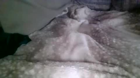 mmmbacon211 online show from 22, 2, 2026