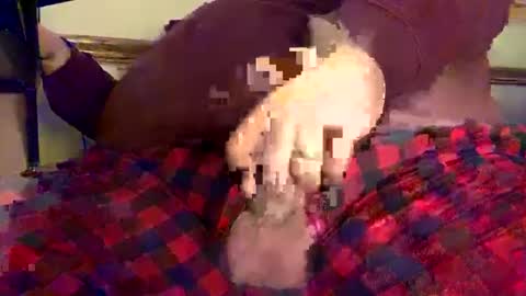 Snapshot of mnguy19726969 chatting on 18, 12, 2024 mnguy19726969 online show from 18, 12, 2024