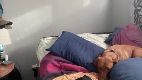 MNTuiLa online show from 2, 2, 2025