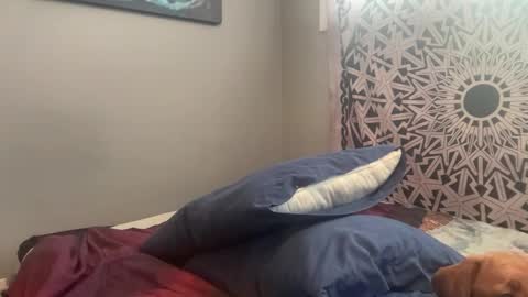 MNTuiLa online show from 15, 2, 2025