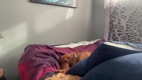 MNTuiLa online show from 17, 2, 2025