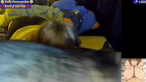 Snapshot of molly_moons chatting on 17, 11, 2025 molly_moons online show from 17, 11, 2025