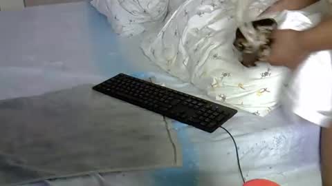 mollyn online show from 18, 3, 2026