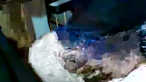 mon_za online show from 15, 12, 2025