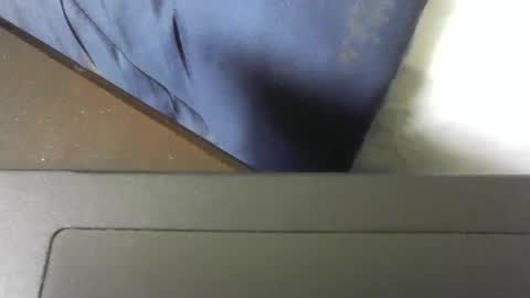 moneyboysaveg548 online show from 13, 11, 2025