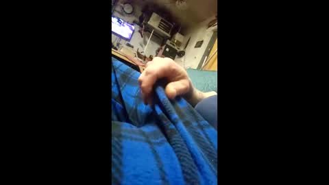 monsterjosh84 online show from 11, 2, 2026