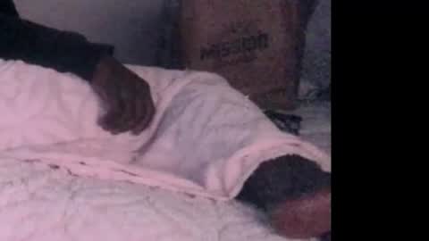 Snapshot of montydxxx2 chatting on 3, 2, 2026 montydxxx2 online show from 3, 2, 2026