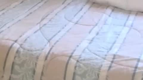 Snapshot of montydxxx2 chatting on 12, 2, 2026 montydxxx2 online show from 12, 2, 2026