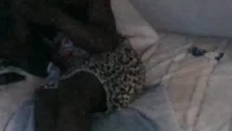 Snapshot of montydxxx2 chatting on 13, 2, 2026 montydxxx2 online show from 13, 2, 2026