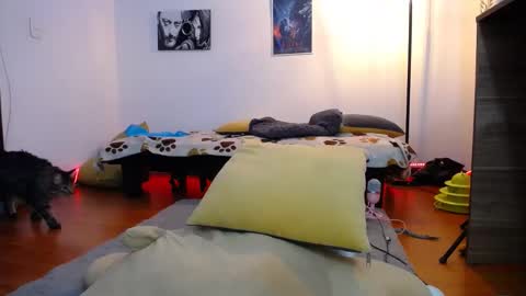 Luna online show from 28, 1, 2025