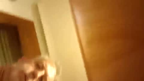 moos1 online show from 8, 3, 2026