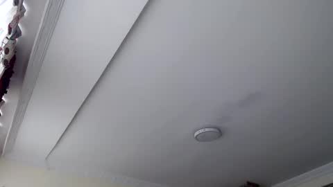 Abelardo online show from 29, 10, 2025