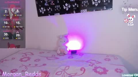 Morgan-Redds online show from 19, 2, 2025