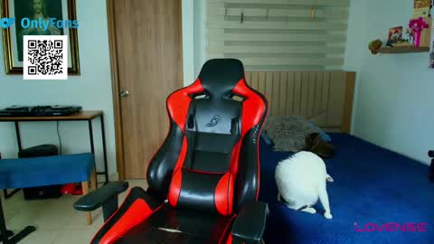 Morthy online show from 1, 3, 2025