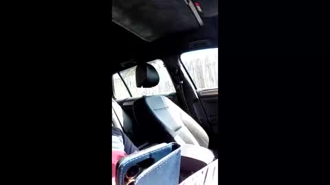 Nomadu online show from 14, 3, 2026