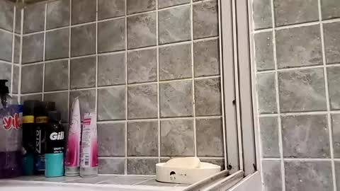 Snapshot of moss127 chatting on 15, 12, 2024 twennysevv27 online show from 15, 12, 2024