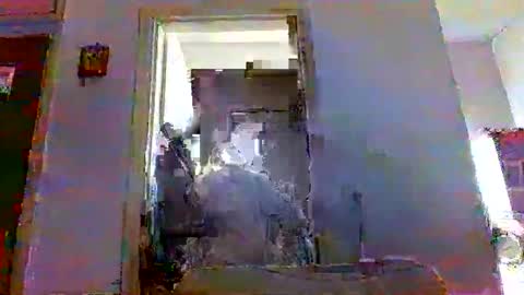 mppempis81 online show from 23, 11, 2025