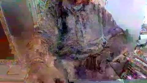 mppempis81 online show from 25, 11, 2025