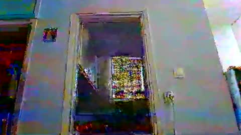 mppempis81 online show from 5, 12, 2025