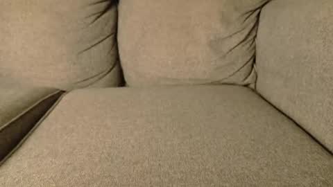 mr6ray online show from 19, 1, 2026