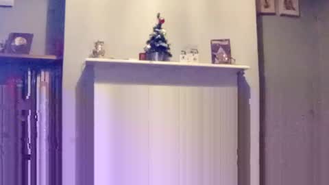 mr_i_ online show from 17, 12, 2024