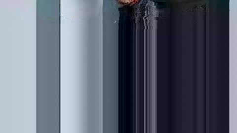 mr_i_ online show from 10, 3, 2025