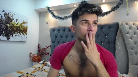 Snapshot of mr_williseo chatting on 26, 12, 2024 williseo online show from 26, 12, 2024