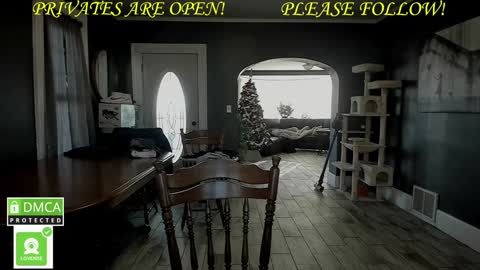 MrBrew online show from 1, 12, 2024